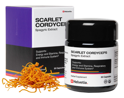 Scarlet Cordyceps Spagyric Extract (Cordyceps Militaris Extrait Spagyrique)