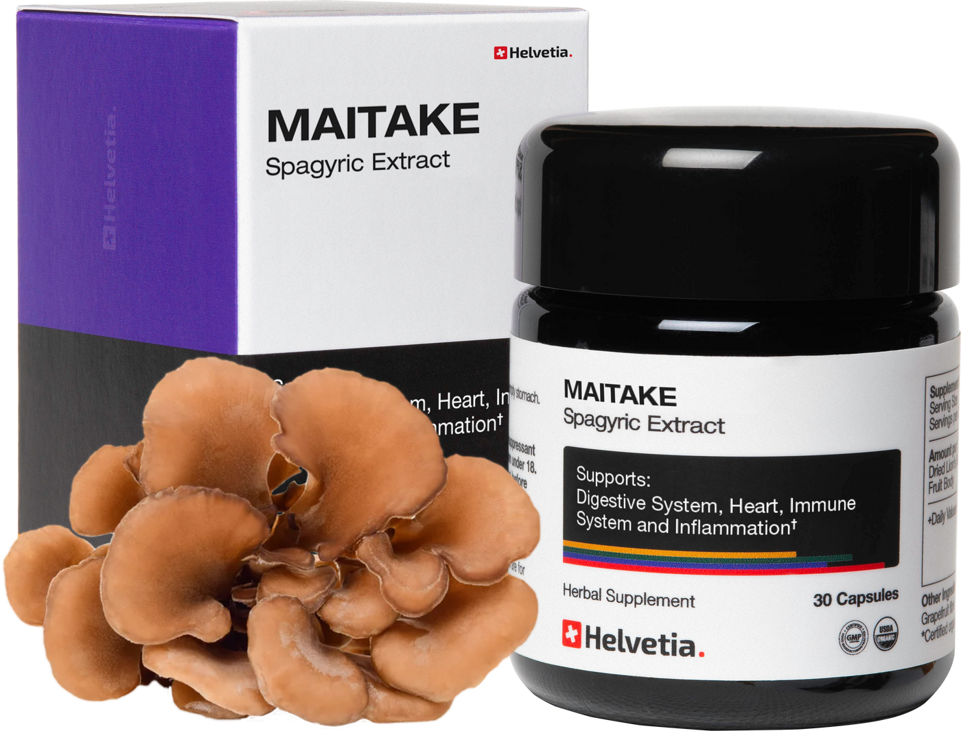 Maitake Spagyric Extract (Extrait Spagyrique Maitake)